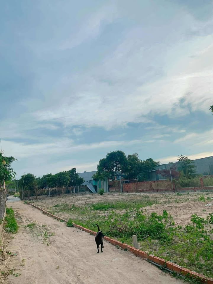 Đất Sổ Chung Long Hải BR-VT 105m² - Lô Góc 2 Mặt Tiền Đường Ô Tô