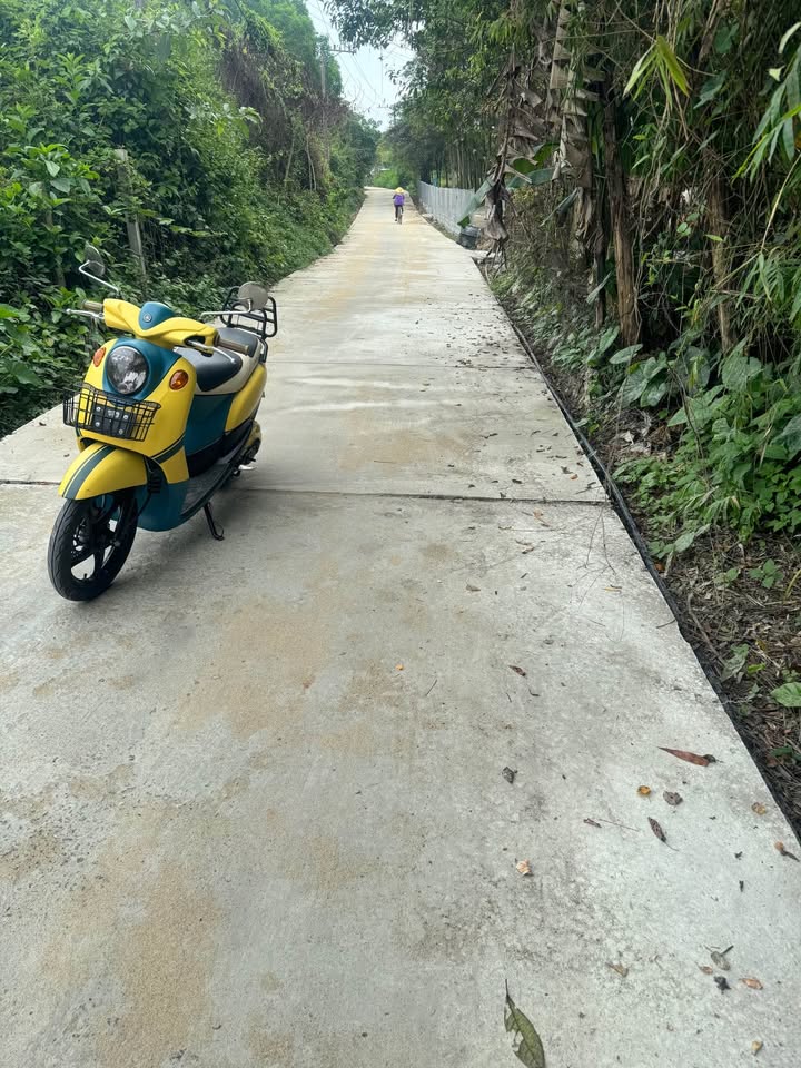 Đất nền Tam Thanh Tam Kỳ 200m² - Tiềm năng tăng giá, sổ đỏ sẵn!