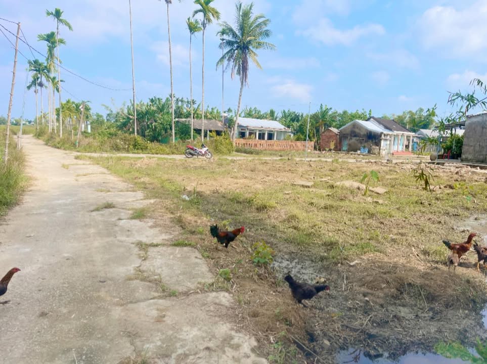 Đất Vườn Góc 2 Mặt Tiền Thăng Điền - 285m² Giá 620 Triệu