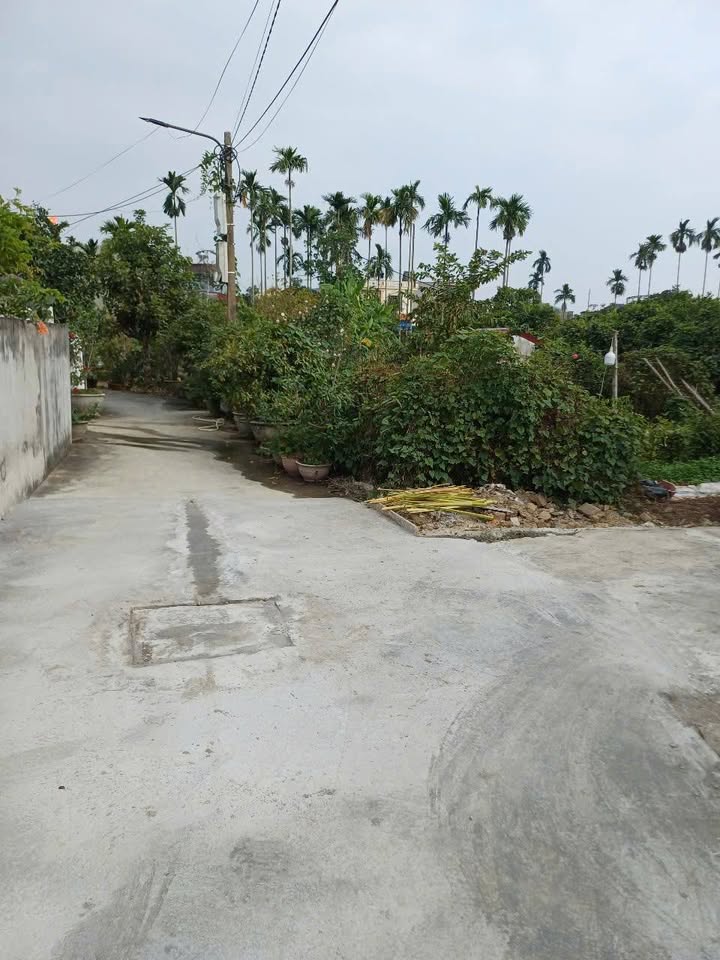 Đất nền An Dương 57.8m² sổ đỏ cc, ô tô vào tận nơi - 1.2 tỷ