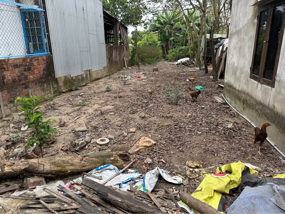 Bán Đất Thôn Miếu Bông, Đà Nẵng 150m² - Sổ Đỏ, Giá Tốt