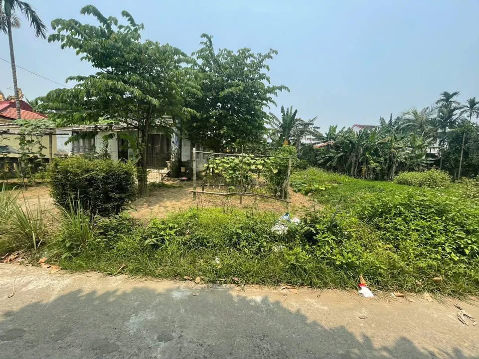 Đất Nền Mặt Tiền Nguyễn Võ Xuân 125m² - Sổ Hồng Sẵn Sàng - Giá 8xx Triệu