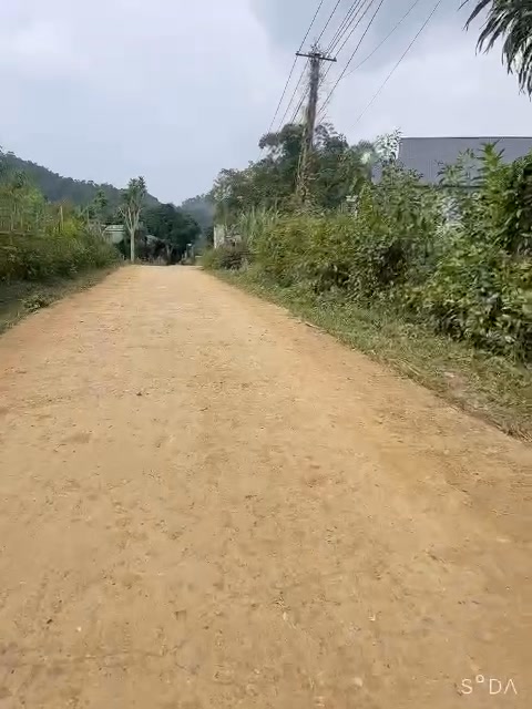 Đất nền Vân Âm, Ngọc Lặc 170m² - Sổ đỏ chính chủ, giá tốt!