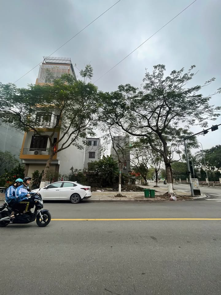 Đất Phố Ngô Sỹ Liên 81m² - Vị Trí Vàng Kinh Doanh Đắc Địa