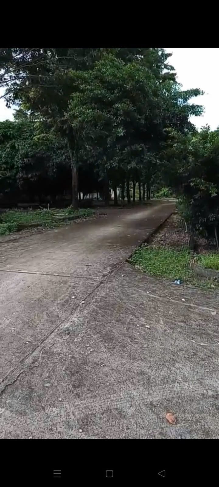 Bán Nền 162m² Phường Ngã Bảy, Hậu Giang - Giá Tốt 270 Triệu