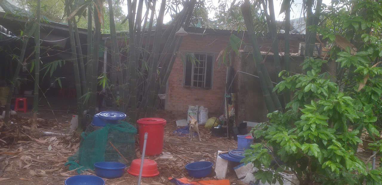 Nhà Nguyên Căn 315m² Phú Thọ, TDM - Sẵn Sàng Cho Cuộc Sống An Nhiên