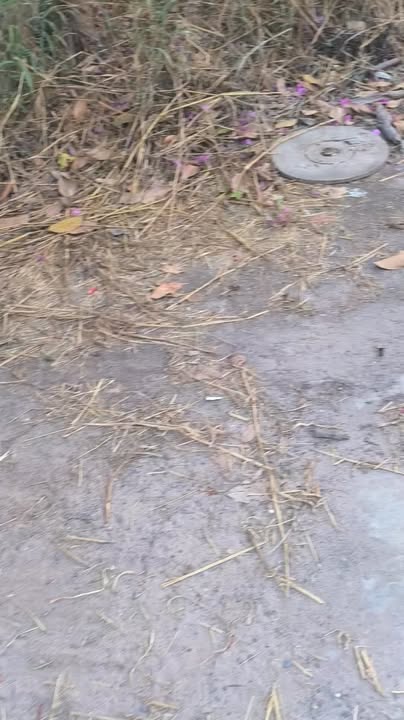 Bán nhà mặt tiền ĐT795 Suối Ngô 1500m² - Thu nhập 25 triệu/tháng