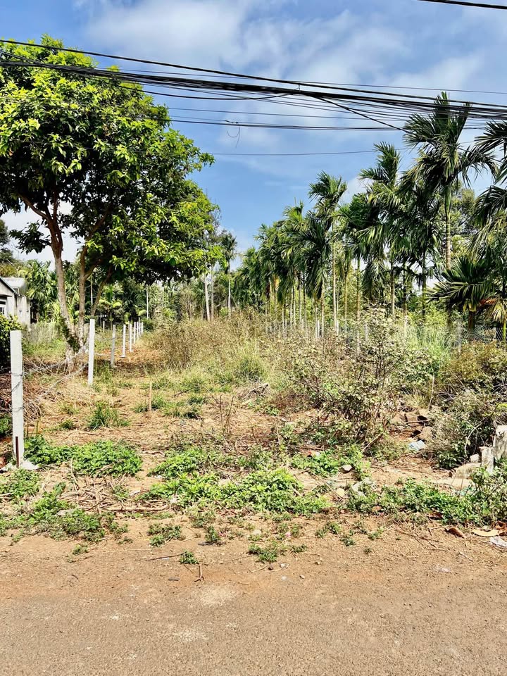 Đất Nền Hẻm 171 Nguyễn Thái Bình, Buôn Ma Thuột - 1.25 Tỷ, Sổ Đỏ 250m²