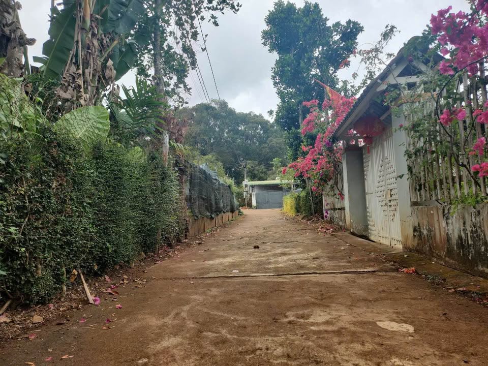 Bán Gấp 4 Lô Liền Kề Phường Ea Tam, Buôn Ma Thuột - 150m² Giá 1.35 Tỷ