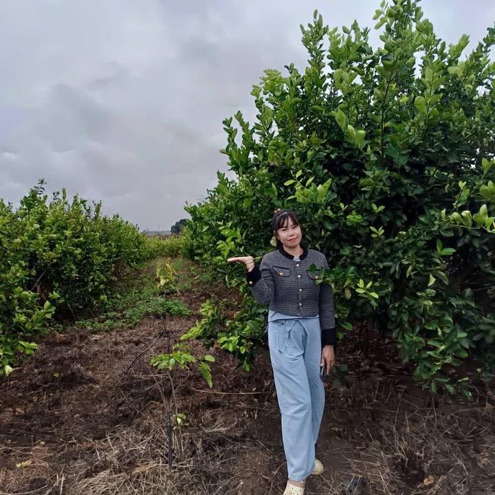 Bán Gấp Đất Farm Ea Wer, Buôn Đôn 2ha - Bám Suối Lớn, Giá 2.5 Tỷ