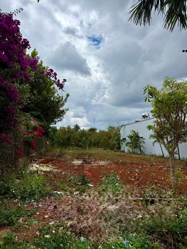 Đất nền MT Hồ Tùng Mậu, Buôn Hồ 233m² - Giá 2.35 tỷ, F0