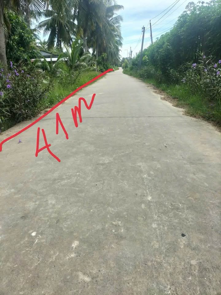 Đất nền Thới Lai, Bình Đại 1000m² - Đường to ô tô, pháp lý rõ ràng