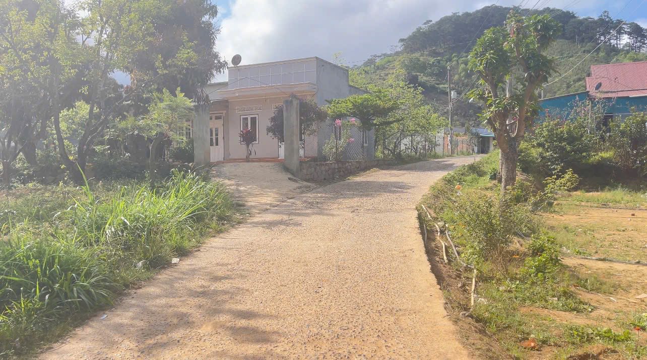 Đất Nền Thị Trấn D'Ran, Lâm Đồng - 884m² Sổ Hồng Thổ Cư, Giá Tốt