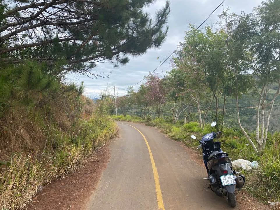 Đất nền Xuân Trường Đà Lạt 340m² 8,5 tỷ - Sổ đỏ chính chủ