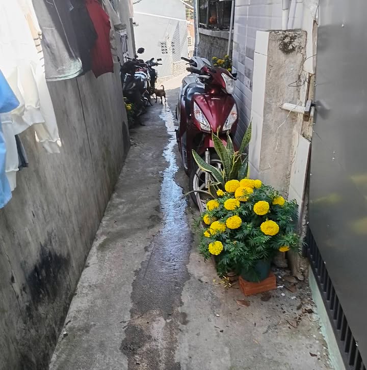 Nhà Thổ Cư 52m² Hẻm Nguyễn Hoành, Nha Trang - Giá 1.15 Tỷ, Sẵn Ở