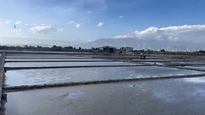 Ruộng Muối 10.000m² Khánh Hải, Ninh Thuận - Sổ Đỏ Chính Chủ, Đầu Tư Dài Hạn!