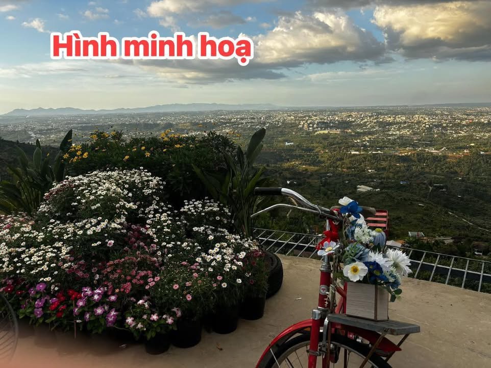 Bán Gấp 1ha Đất 3 Mặt Tiền Bê Tông, Ngay Trung Tâm Xã Đạ Tẻh - Giá Đầu Tư 33 Tỷ