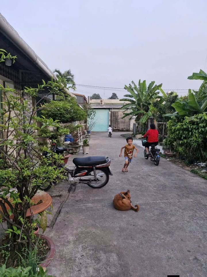 Nhà Sổ Riêng 74m² Ấp Đình, Củ Chi - Giá 1.5 Tỷ, Sẵn Ở Ngay!