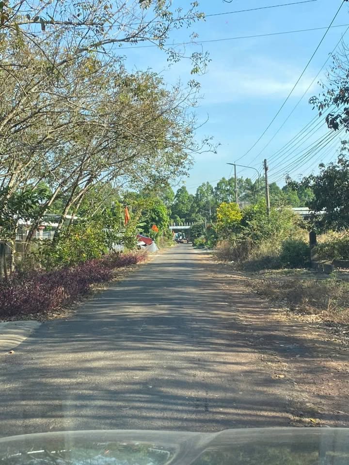 Đất nền Thủ Dầu Một 5300m² - Mặt tiền đường to ô tô!