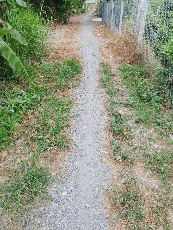 Đất nền Thanh Mỹ, Tháp Mười 1000m² - Sổ hồng chính chủ!