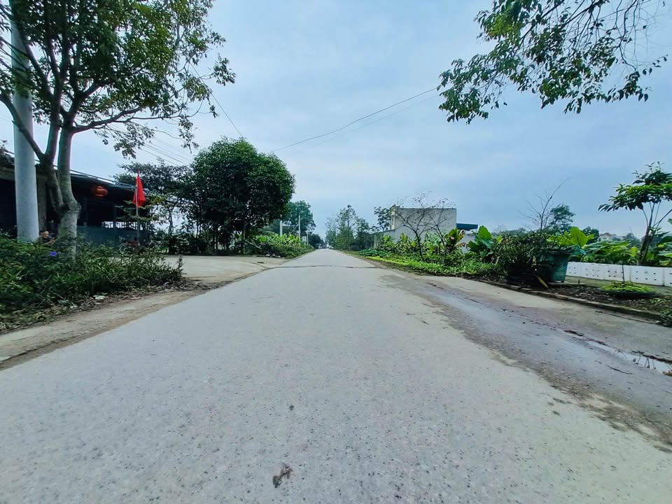 Đất Nền 100m² Quảng Đông, Thanh Hóa - Sổ Đỏ Sẵn Sàng, Giá Hơn 2 Tỷ