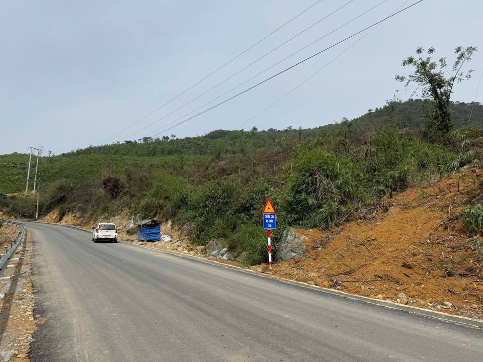 Bán Gấp Đất Rừng Sản Xuất Rộng 6ha Xã Linh Sơn, Lang Chánh - Lộc Đầu Năm