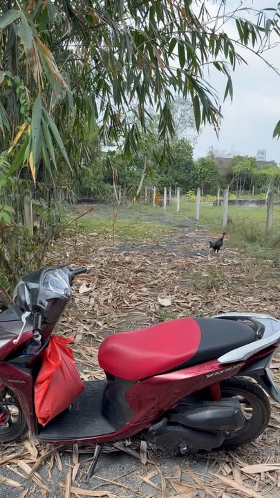 Đất nền Củ Chi 115m² giá 1.4 tỷ - Xây dựng tự do, sổ đỏ!