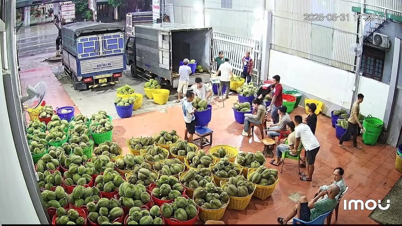 Kho/Xưởng Quốc lộ 20, Lâm Đồng 200m² - Hoạt động ngay!