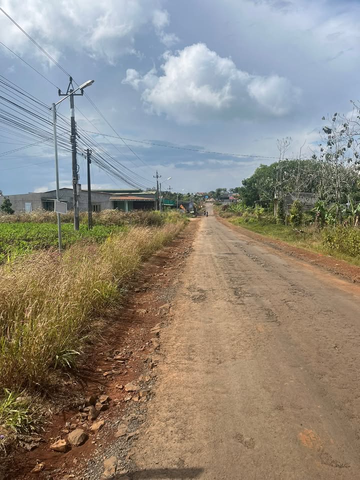 Đất nền Đức Trọng 10000m² - Sổ đỏ chính chủ, nở hậu đẹp!