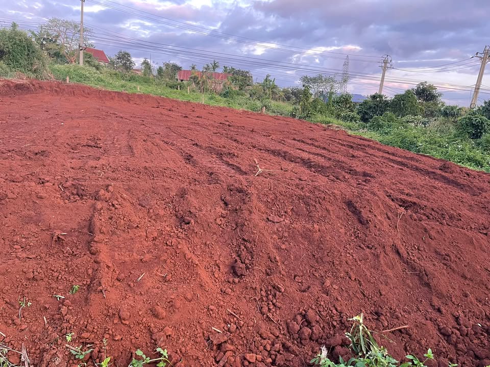 Đất nền Buôn Ma Thuột 1350m² - Sổ hồng chính chủ, tiềm năng tăng giá!