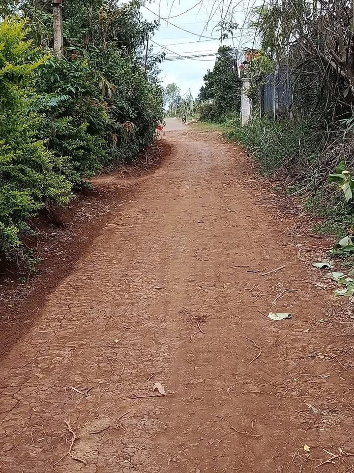 Đất nền Ea Tam, Krông Năng: 480m² mặt tiền đường, giá đầu tư 1.14 tỷ