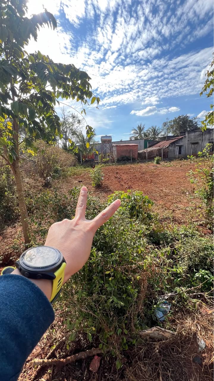 Đất nền Hòa Thuận BMT 98m² giá 1.49 tỷ - Vị trí đắc địa!