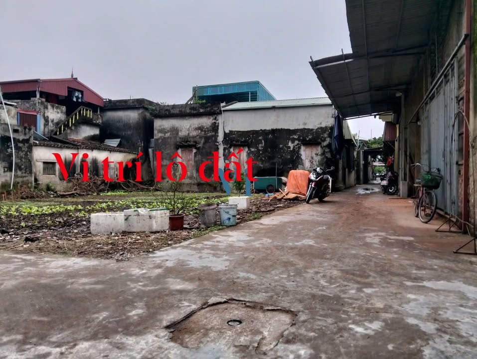 Đất Lô Góc Xuyên Ninh, Yên Mỹ - 175m², 1 Tỷ - Oto Tận Nơi