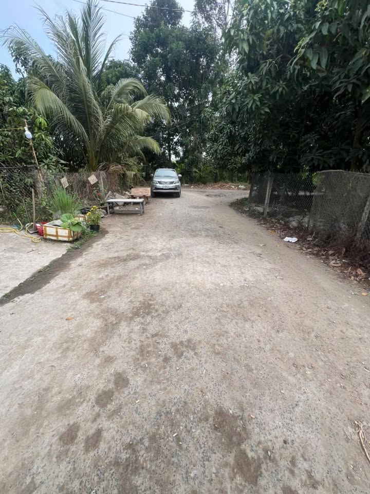 Nhà Cấp 4 Đồng Tháp - 85.5m² Full Thổ Cư, Giá 650 Triệu, Sẵn Ở Ngay