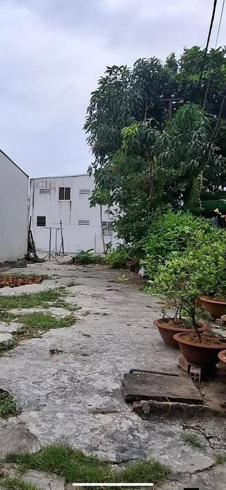 Đất nền Phường 1, TP Cao Lãnh 88m² giá 1 tỷ - Xây dựng tự do!