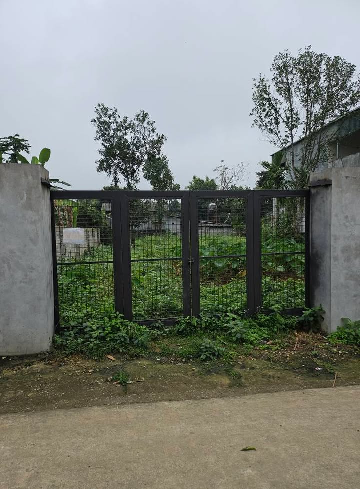 Đất thổ cư Thôn Chóng 380m² giá thỏa thuận - Sổ đỏ