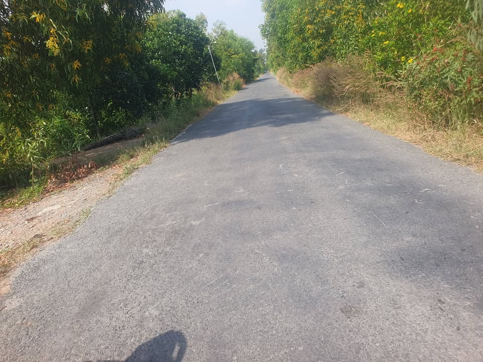 Đất Vườn 54000m² Mặt Tiền Huyện Lộ 42, Bình Chánh - Giá Tốt Đầu Tư