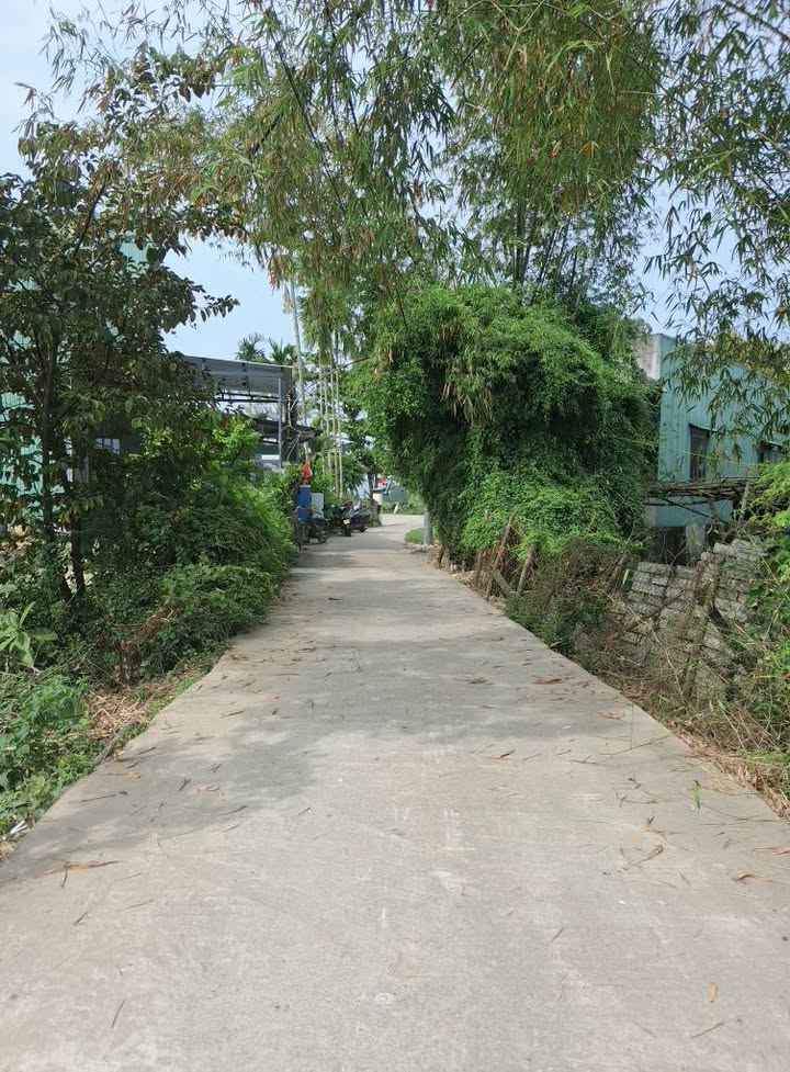 Đất Nền Hòa Xuân Cẩm Lệ - 260m² Giá 3.8 Tỷ - Xây Nhà Vườn Lý Tưởng