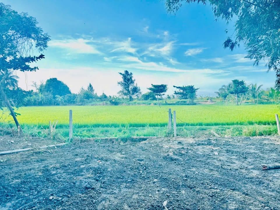 Bán Đất Vườn 310m² Đà Nẵng - View Lúa Thanh Bình, Kiệt Lý Thường Kiệt