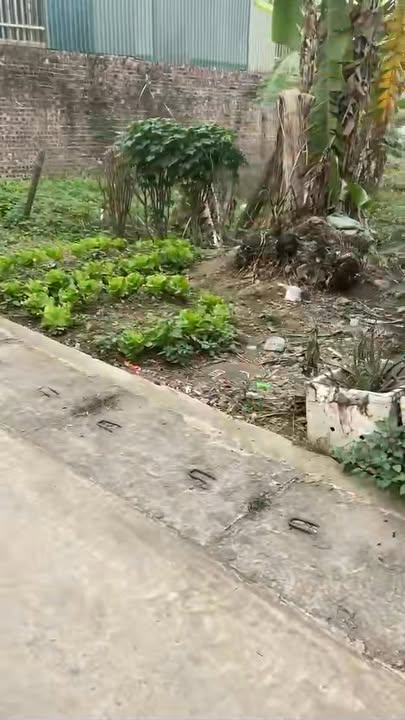 Đất nền Phú Kim Thạch Thất 150m² 4,5-5,85 tỷ - Sổ đỏ