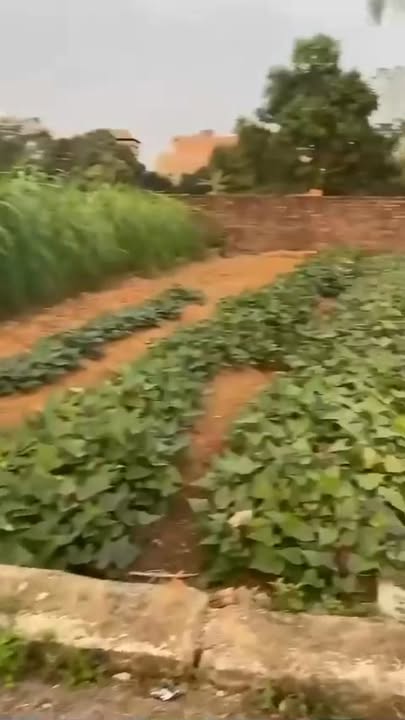 Đất nền Thôn Phúc Tiến Thạch Thất 80m² giá 3 tỷ - Sổ đỏ chính chủ