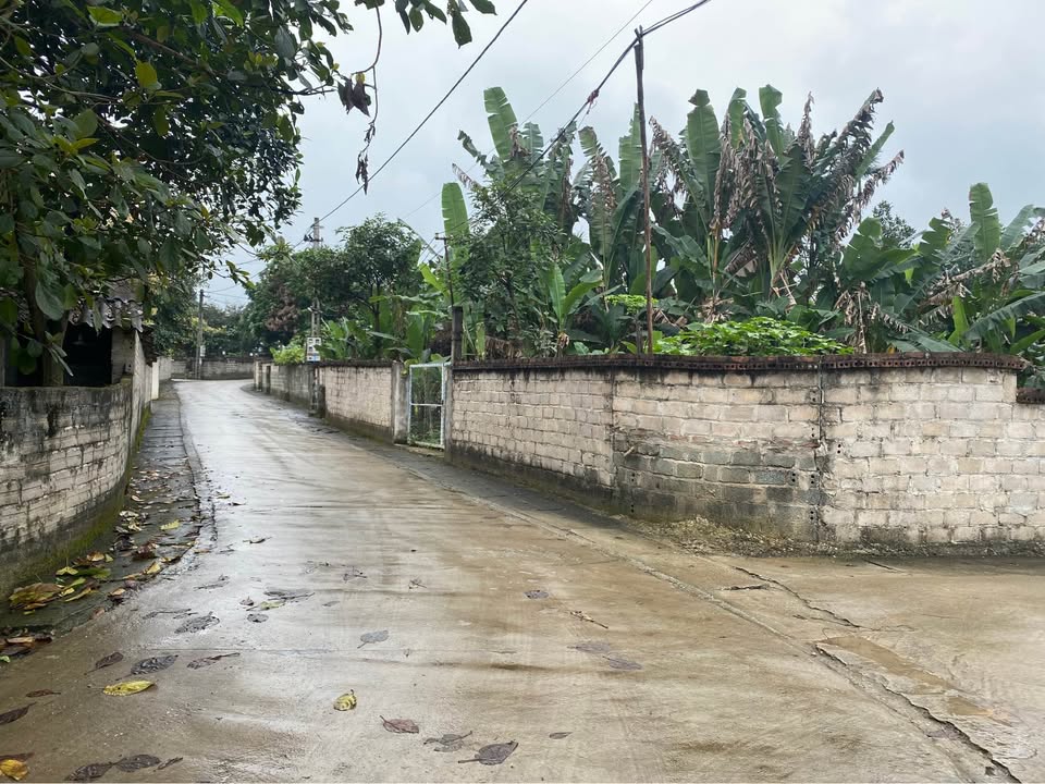 Bán Đất Lô Góc Yên Bài Ba Vì 360m² - View Đồng Thoáng Đãng, Giá Tốt