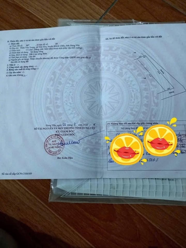 Đất nền Việt Hòa 111m² 2 tỷ - Đất thổ cư 100%, sổ đỏ sẵn sàng!