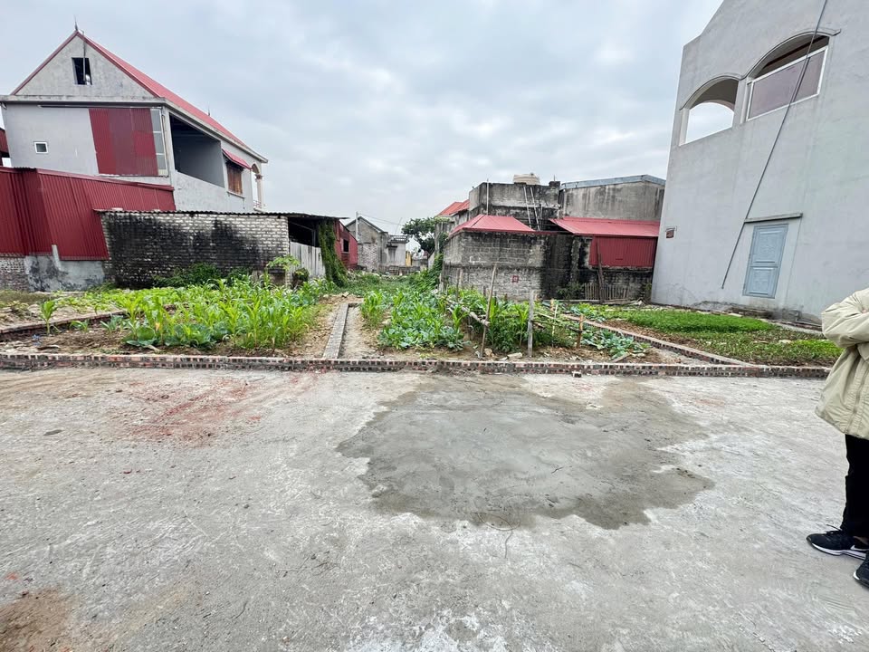 Đất nền Minh Đức, Mỹ Hào 60m² - Cơ hội đầu tư 8xx triệu