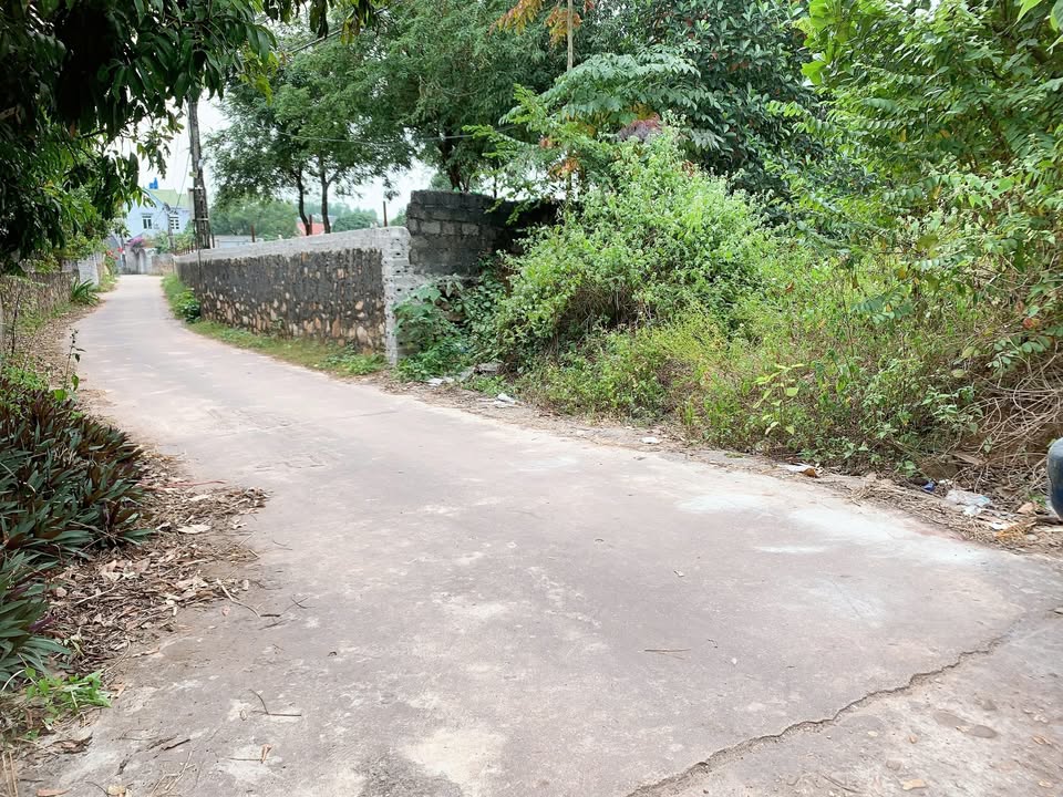 Đất nền Chu Điện Lục Nam 208m² giá 600 triệu - Sổ đỏ chính chủ!