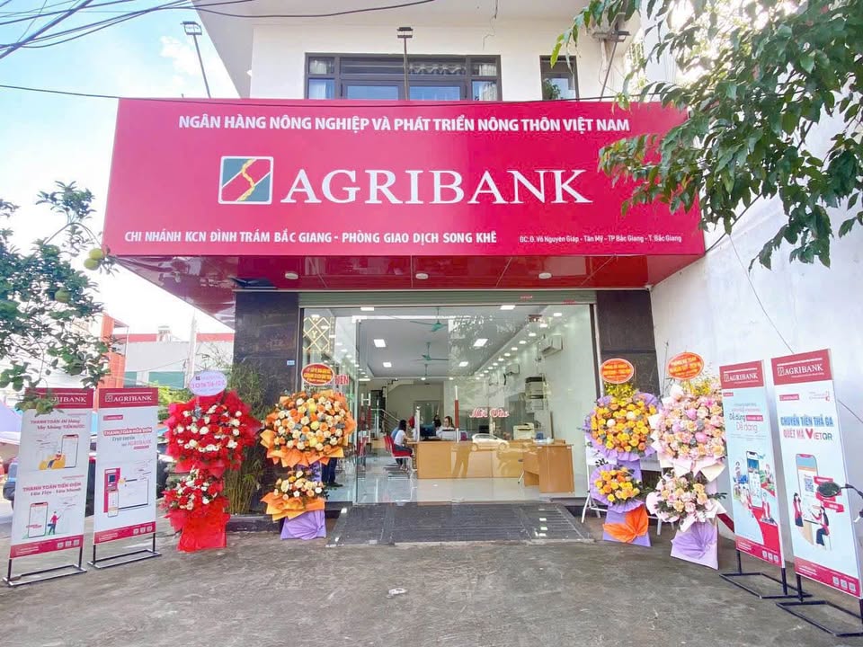 Nhà Mặt Tiền Kinh Doanh Võ Nguyên Giáp, Bắc Giang - 140m², 12 Tỷ