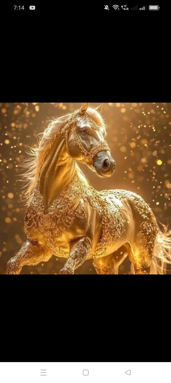 Đất Vườn 750m² Phước Hải, Đà Nẵng - Giá 25 Tỷ, Sẵn Sàng Xây Biệt Thự