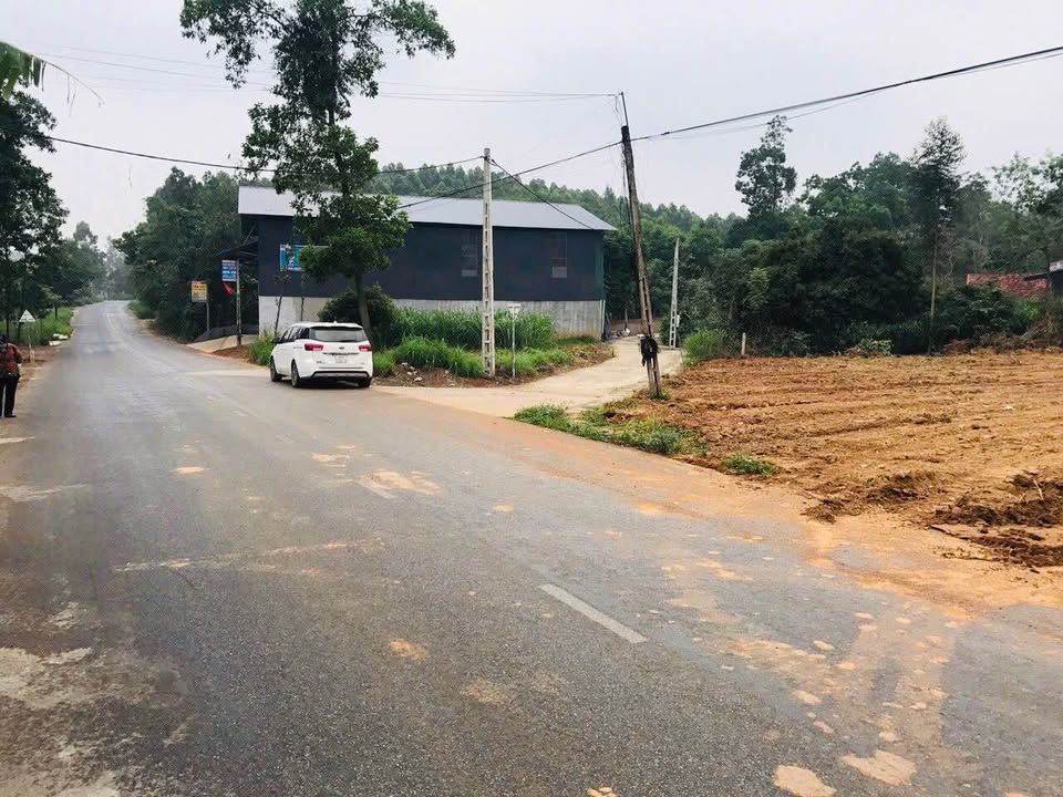 Đất Tái Định Cư Xuân Hòa Lập Thạch 100m² - Sổ Đỏ Vuông Vắn, Tiềm Năng Tăng Giá Cao