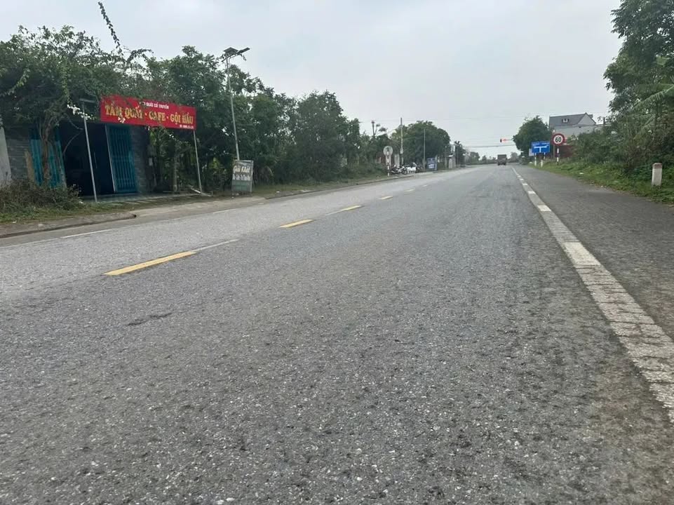 Đất nền Thái Thụy 100m² - Mặt tiền ĐT459, kinh doanh sầm uất!