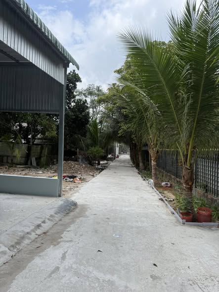 Nhà riêng Phúc Lộc Home Dương Đông 54m² - Sẵn sàng ở ngay